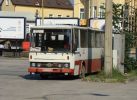 miniatura zdjęcia 162713