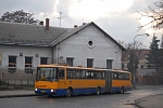 BVA 83-81