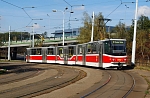 9082