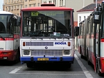 5394