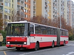 6019