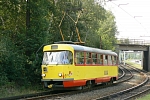 224
