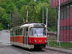 8161