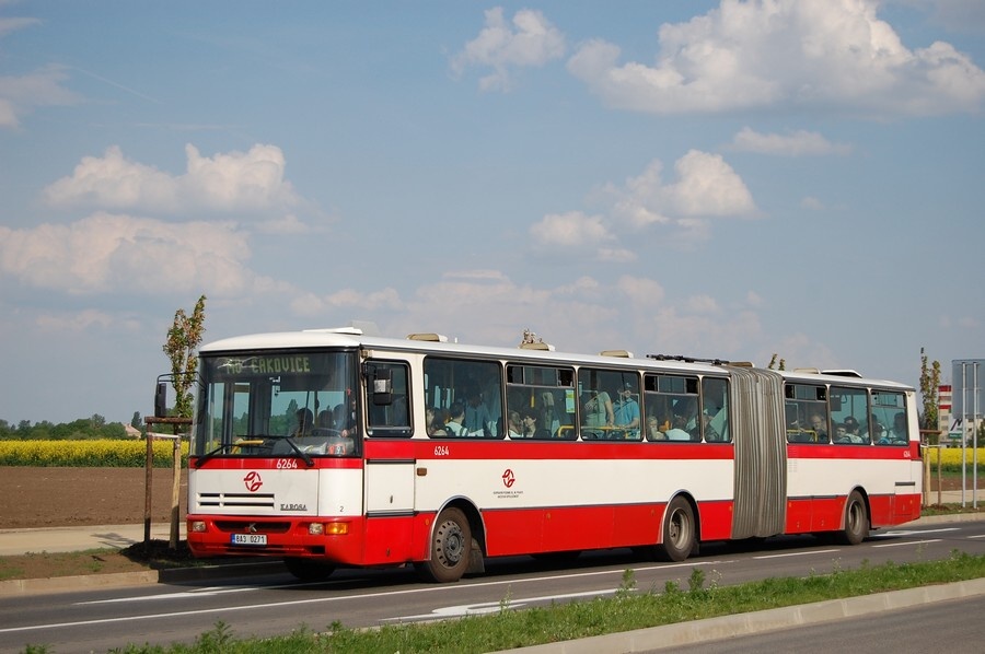 6264