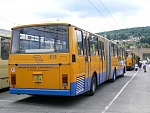 813