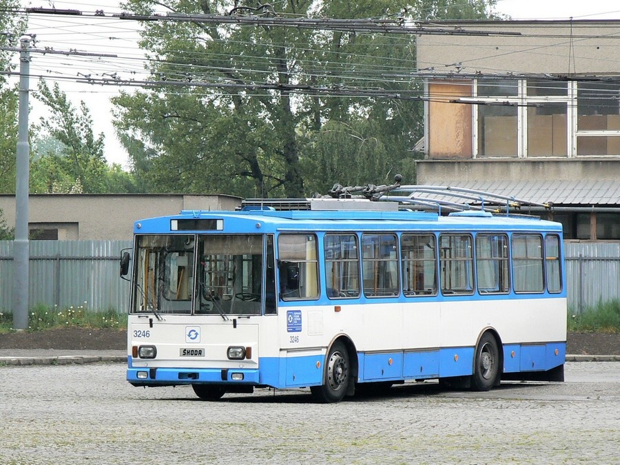 3246