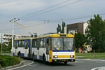 202