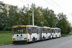 202