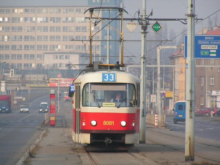 8081