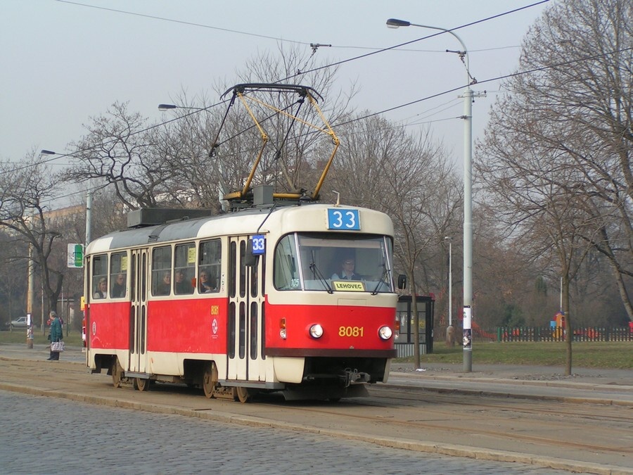 8081