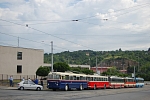 31
