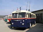 31
