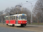 8081