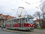 8251