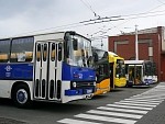 131