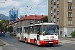 ZV-315BI