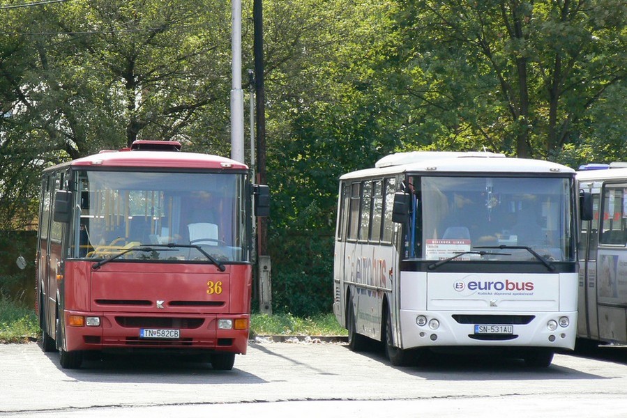 36
