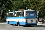 77