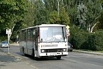 80