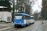 81
