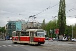 8154