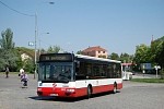3203