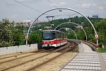 9081