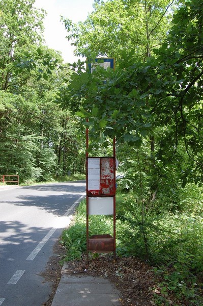 Rozcestí