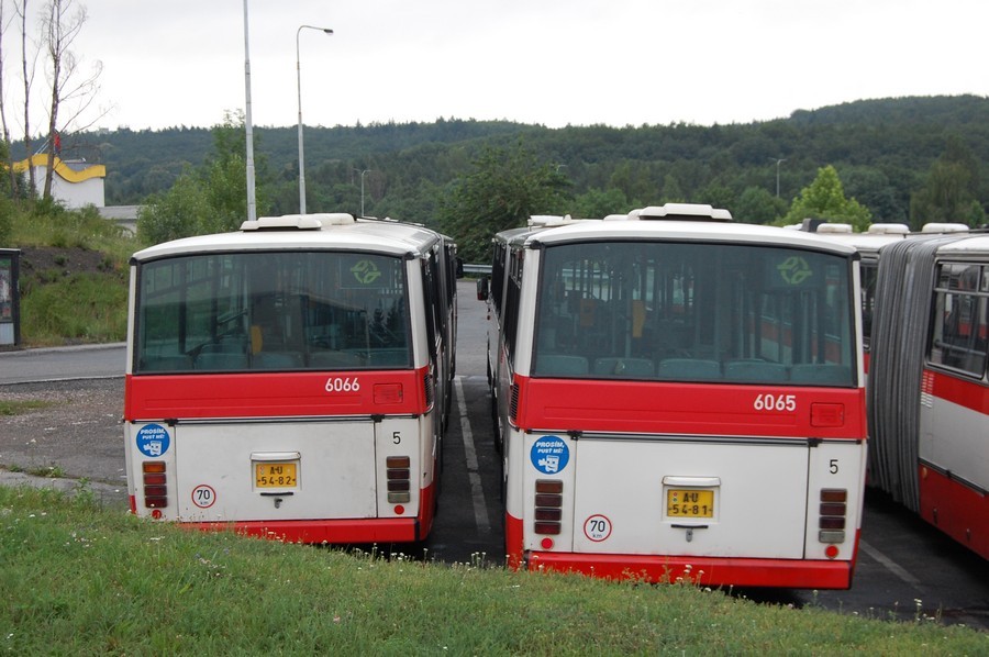 6065+6066