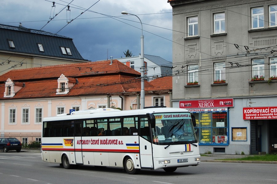 2C6 8599