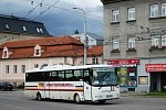 2C6 8599
