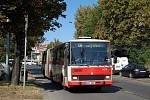 6019
