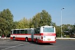 6305