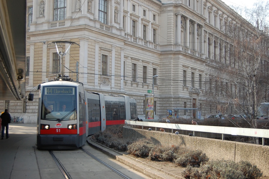 51