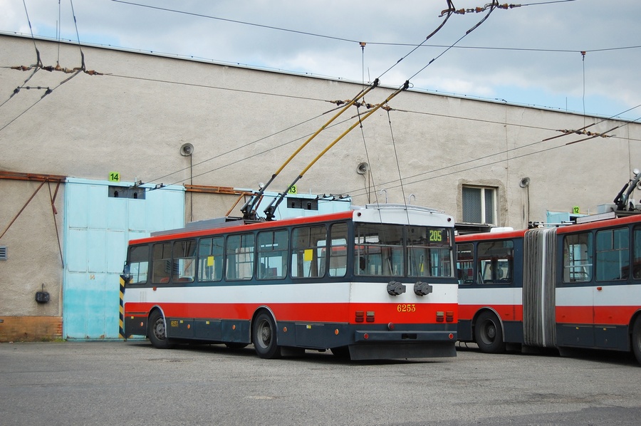 6253