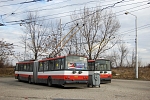 6619