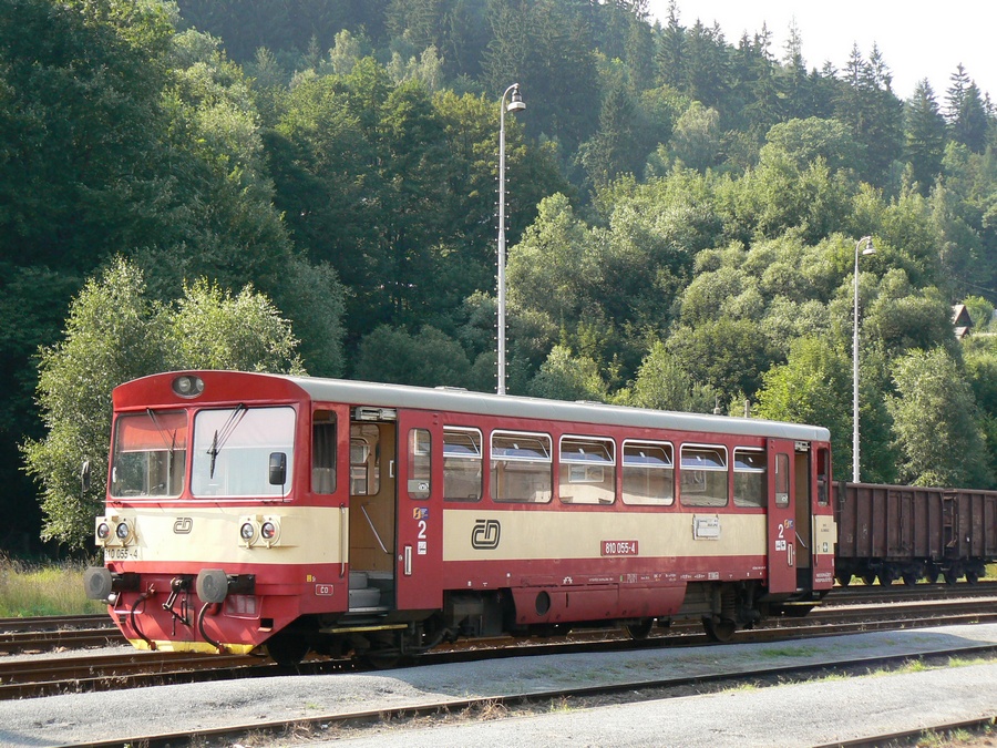 810 055-4