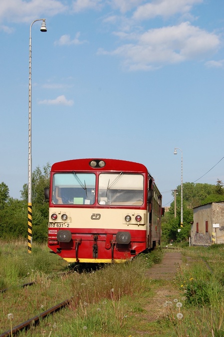 810 631-2