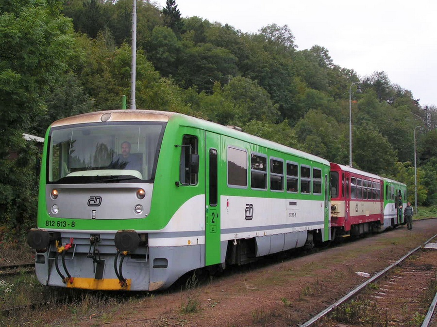 812 613-8