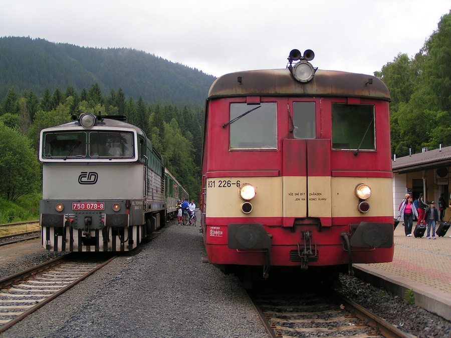 831 226-6
