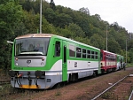 812 613-8