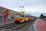 7172
