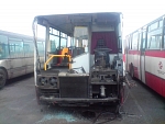 7359
