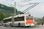 245