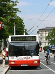 250