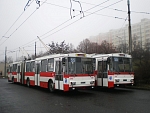 503+501