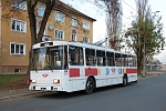 306