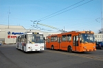 306