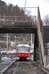 8082