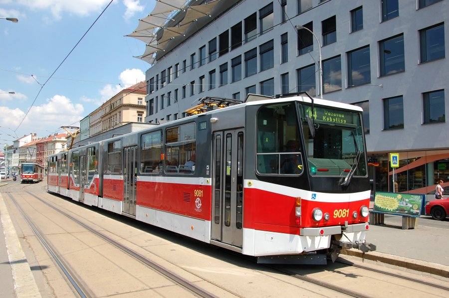 9081